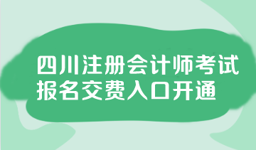 四川2024注会交费入口已开通！快来交费~