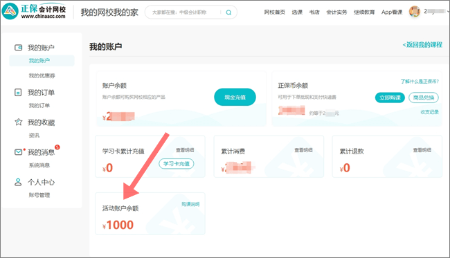 活动账户余额(2)