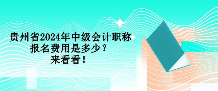 贵州省2024年中级会计职称报名费用是多少?来看看! 贵州省2024年中级会计职称报名费用是多少?来看看!
