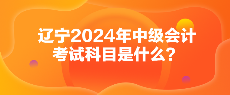 辽宁2024年中级会计考试科目是什么？
