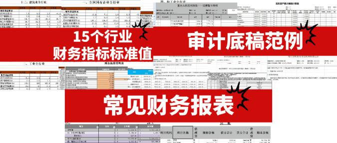 审计相关实操资料 审计相关实操资料