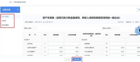 申报以及更正财务报表信息 申报以及更正财务报表信息