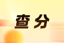 222_148 11 222_148 11