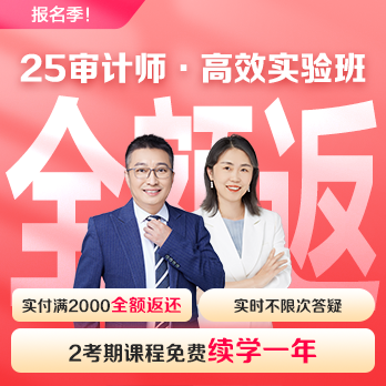 中级审计师高效实验班