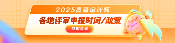 高级审计师评审