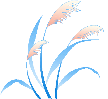 享受农林牧渔企业所得税减免优惠，注意这些风险点