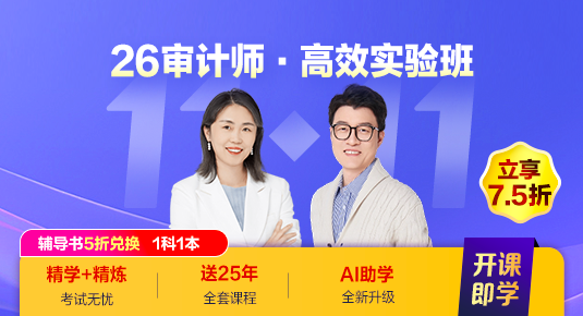 审计师高效实验班