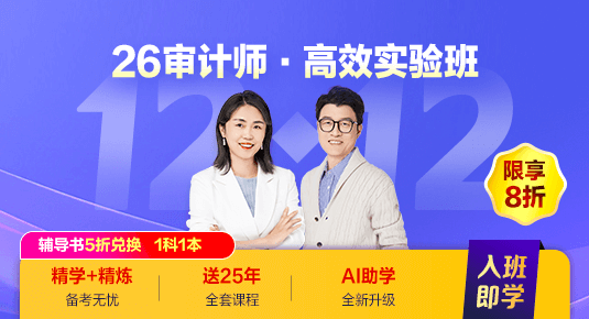 审计师高效实验班