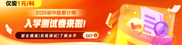 审计师入学测试卷