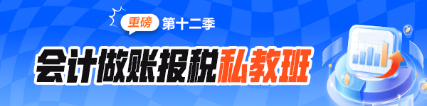 会计做账报税私教班（第十二季）