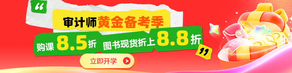 限时钜惠-审计师
