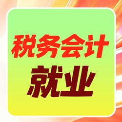 税务会计就业