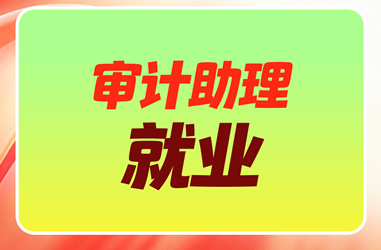 审计助理就业