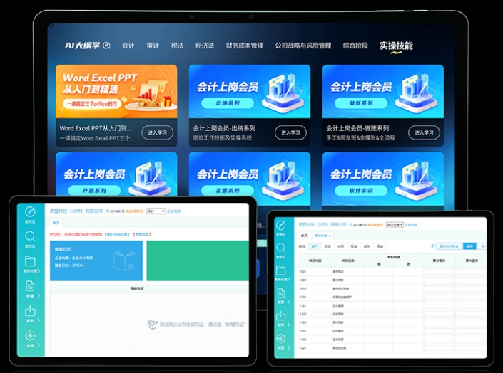 内置专业财务软件