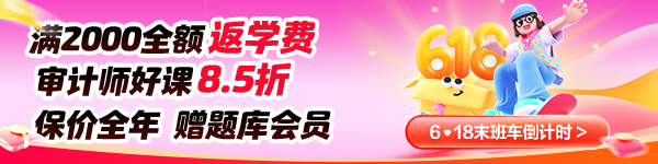 嗨购618-审计师
