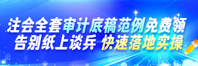 审计资料