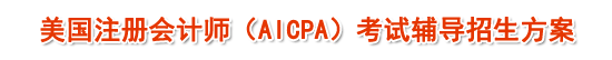 2010��AICPA�������ϸ�����������