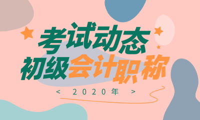 宁夏中卫2020年初级会计资格考试大纲是什么？