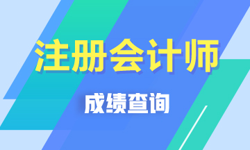 2019年贵州遵义CPA考试成绩查询入口已开通！