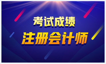 广东佛山2019年注册会计师官网成绩查询入口是哪个？