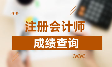 重庆注册会计师考试2020年成绩查询入口