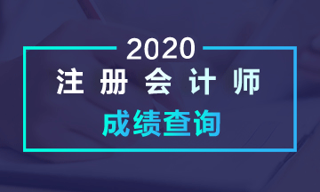 2020年青海注册会计师考试成绩查询