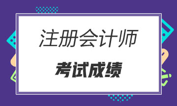 2020广东广州注册会计师成绩查询须知