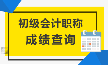 2020年河南省初级会计证成绩查询入口是哪个呀？