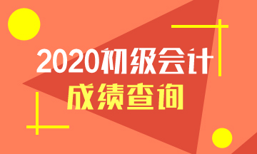 广西2020初级会计考试查分入口公布了吗？