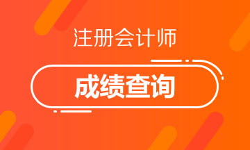 广东广州2020年注册会计师成绩查询时间确定了吗？