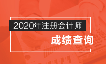 2020年福建福州注册会计师成绩查询时间