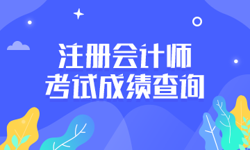 天津2020年注册会计师成绩查询时间你了解吗！