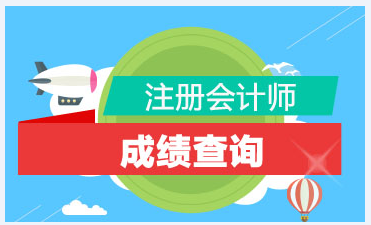 河北省2020注册会计师考试成绩查询