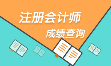 上海2021年注册会计师查分入口速进！