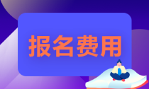 湖南省2022年初级会计职称报名费公布！