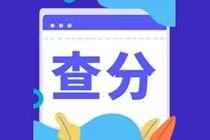 贵州省2022年初级会计考试成绩查分时间