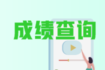 河南省2022年初级会计考试啥时候可以查成绩？