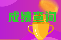 黑龙江双鸭山2022年初级会计成绩查询步骤是啥？