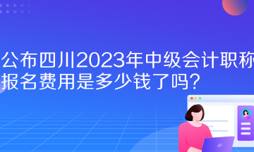 公布四川2023年中级会计职称报名费用是多少钱了吗？