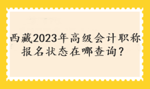 西藏2023年高级会计职称报名状态在哪查询？