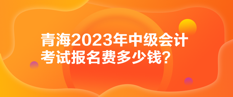 青海2023年中级会计考试报名费多少钱？