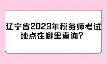 辽宁省2023年税务师考试地点在哪里查询？