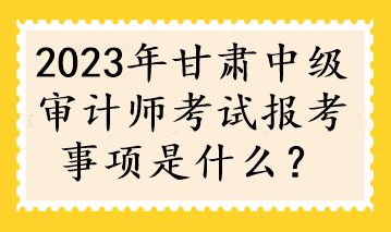 2023年甘肃中级审计师考试报考事项是什么？