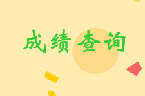 湖南省2023年初级会计师考试成绩何时查询？