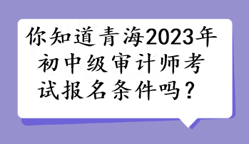 你知道青海2023年初中级审计师考试报名条件吗？