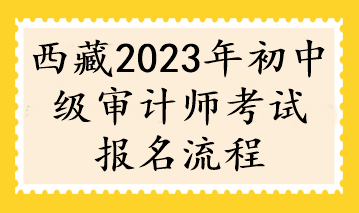 西藏2023年初中级审计师考试报名流程