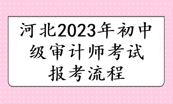河北2023年初中级审计师考试报考流程