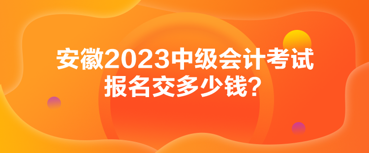 安徽2023中级会计考试报名交多少钱？