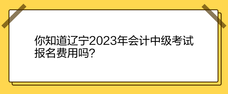 你知道辽宁2023年会计中级考试报名费用吗？