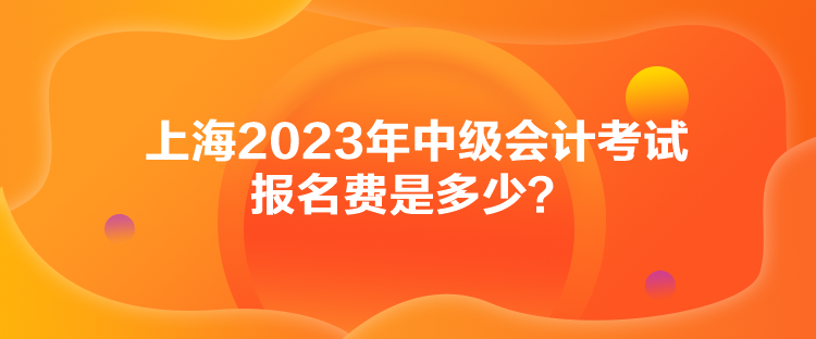 上海2023年中级会计考试报名费是多少？